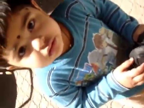 aadhya playing with cat