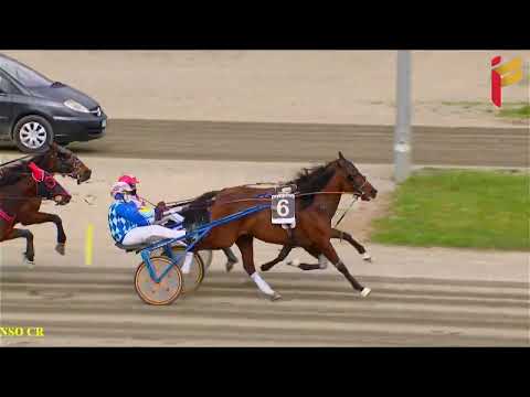 III Corsa del 26 Marzo 2022 - 5 Anni ed oltre - Metri 1600 - II Tris