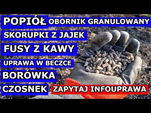 , title : 'Popiół w Ogrodzie, Fusy z Kawy, Skorupki z Jajek Jak wykorzystać, Obornik granulowany, Borówka | Q&A'