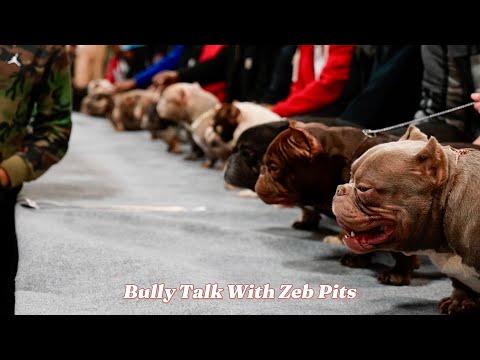 RUMBLE IN THE JUNGLE 6.0 PRESENTED BY JUNE WILLIAMS  PART 1: BULLY TALK WITH ZEB PITS
