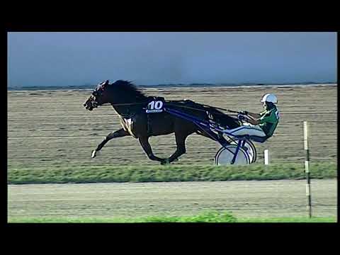 Napoli Trotto 08/10/2021 - 6ª corsa