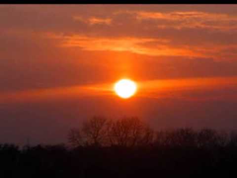 MICHAEL CHEESEMAN - IT'S GOTTA BE YOU.wmv