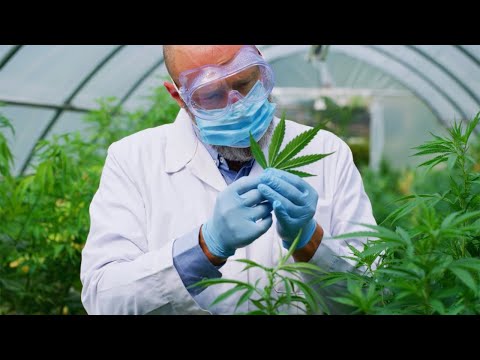 ASTM Cannabis Standards and Services – 360 Degree Approach
