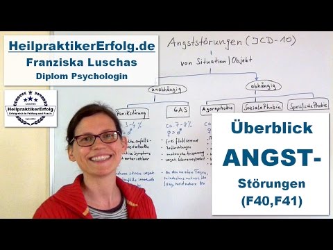 Anxiety and panic disorders: an overview for alternative practitioners of psychotherapy
