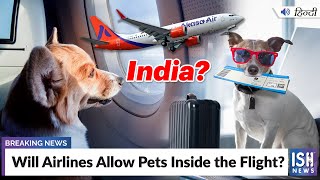 Will Airlines Allow Pets Inside the Flight?