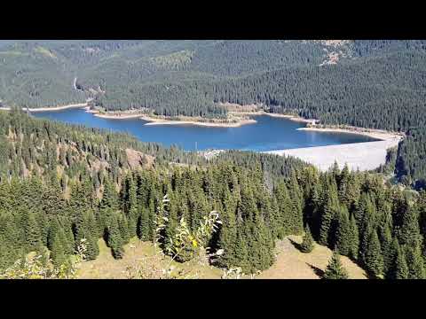 Podul cu florile-Bucegi