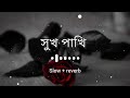 সুখ পাখি তোৰ || Shukh pakhi tor preme || new Bangla songs || Lofi songs#N4