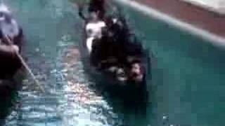 Porno Holocaust Music Video