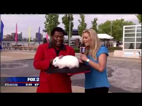 2014 06 20 Amy Andrews 2