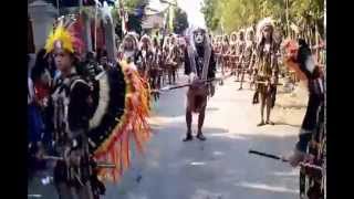 preview picture of video 'Karnaval Budaya HUT RI ke 69 TULUNGAGUNG JAWA TIMUR'