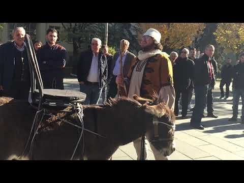 Qyrri e Qorri - Kendon Sokol Plakolli