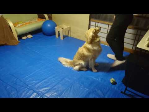 download lagu mp3 mp4 Ijgj, download mp3 Ijgj free download mp3, download mp3 Ijgj