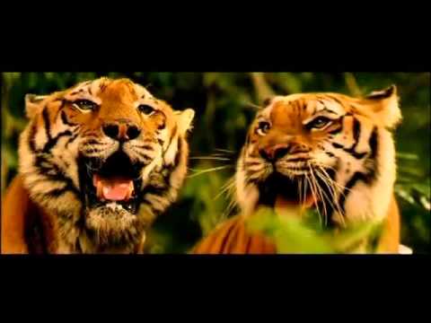 Deux frères (2004) bande annonce