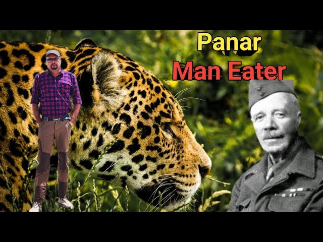 Panar Man Eater Leopard । आदमखोर तेंदुआ पनार का । Jim Corbett Hunt Stories। Wildlife Story Narration SDDEFAULT Thumbnail