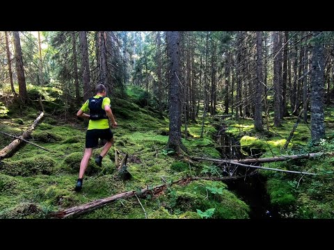 Trytetjern /Heieråsen view to Heradsbygda