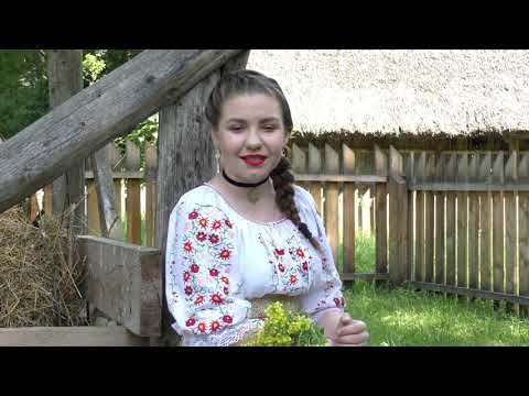 Mama draga inimii - Roxana Goia