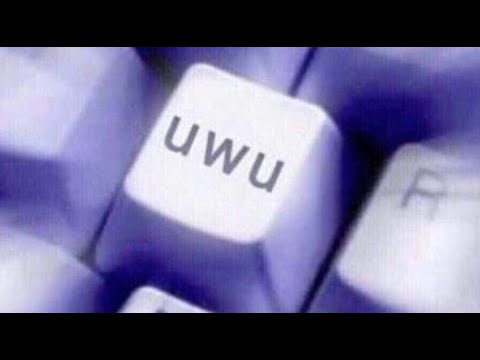 Rhobébou X Trayton UwU