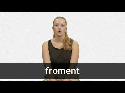 How to pronounce FROMENT in French