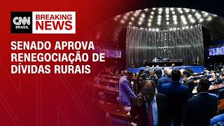 Vídeo: Senado aprova renegociação de dívidas rurais; projeto pode custar R$ 140 bilhões | HORA H