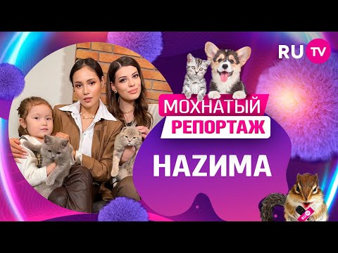 Мохнатый репортаж: NAZИMA