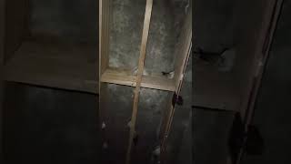 Download lagu SLOW SAJA SETTING VOLUME INAPNYA AKAU 8 MENIT mp3 Download lagu SLOW SAJA SETTING VOLUME INAPNYA AKAU 8 MENIT mp3