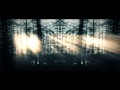 Amarante - Elapsed Euphoria (Album Teaser) 