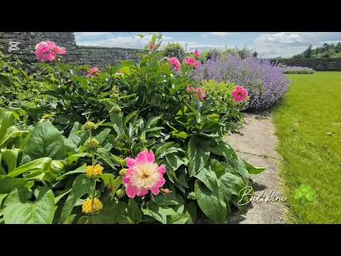Heywood Garden, Co. Laois Ireland 🌷🌸☘️