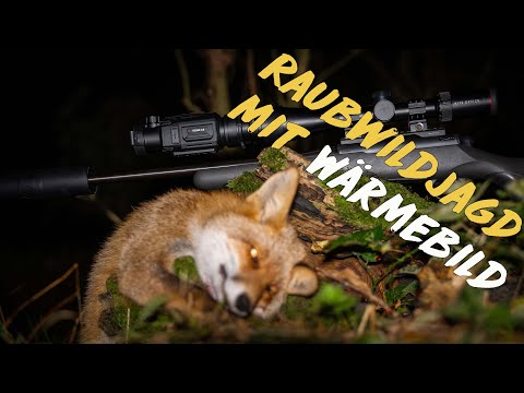Mit Wärmebildtechnik auf Raubwild & Nutria