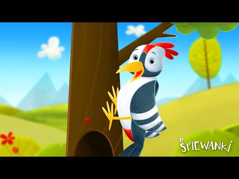 DZIĘCIOŁ  – Śpiewanki.tv - piosenki dla dzieci