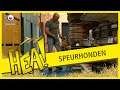 HEA! Speurhonden trainen