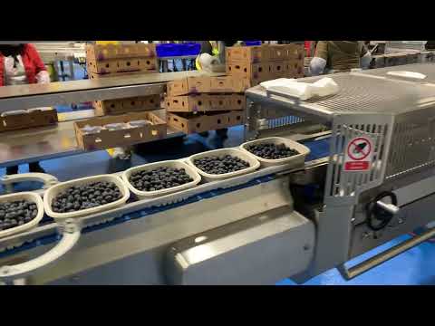 Earthcycle in Packaging Action