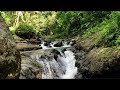 Serene Mountain River Sounds Flowing Water For Sleep Yoga Mindfulness Meditation
