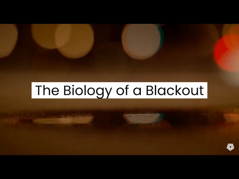 The Biology of a Blackout