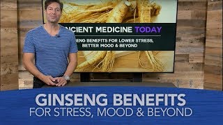 Ginseng Benefits for Lower Stress, Better Mood and Beyond