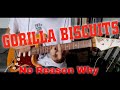 Gorilla Biscuits - No Reason Why (Guitar Cover)