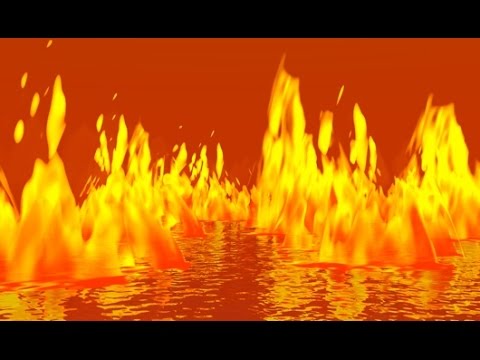 What is the end of the wicked?