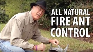 All Natural Fire Ant Control - The Dirt Doctor