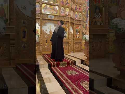 Părintele Irineu Curtescu~Ms. PONOR(Alba~Iulia) ~~partea 1#2025 #live #religion #orthodox 