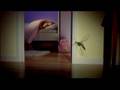 Mortein 2005 Ad