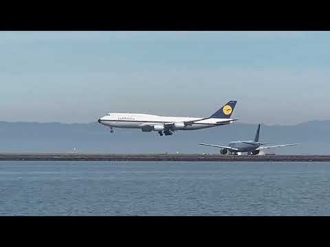 Lufty Yankee Tango Landing SFO