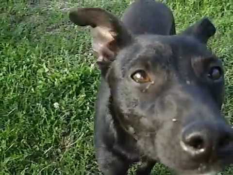 DSCI0709 ciga cuvar i prijatelj.