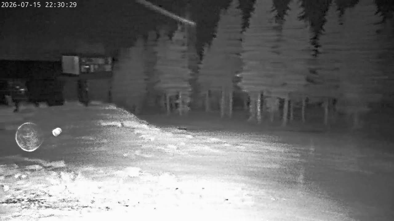 Live webcam view of Bear Valley Mountain Summit