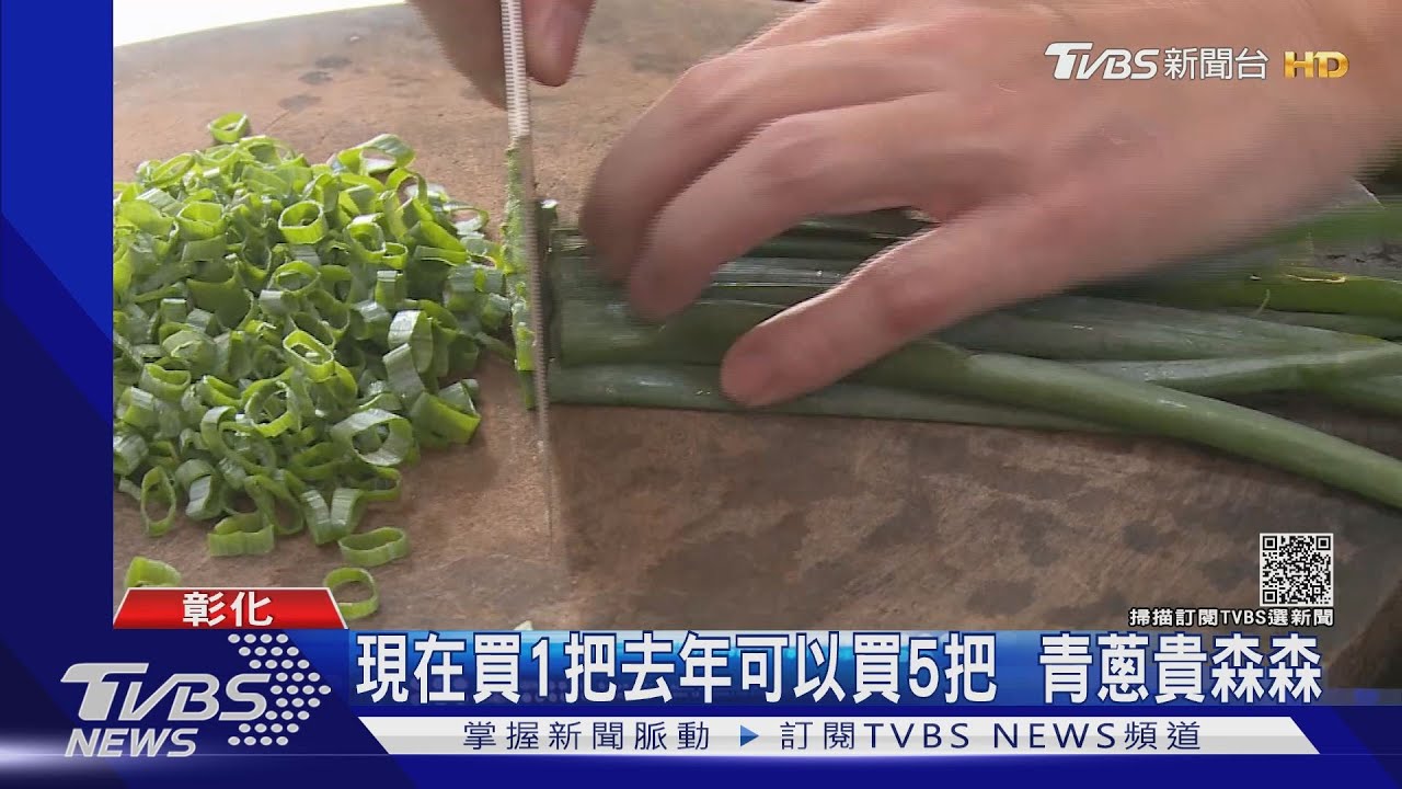 現在買1把去年可以買5把 青蔥貴森森