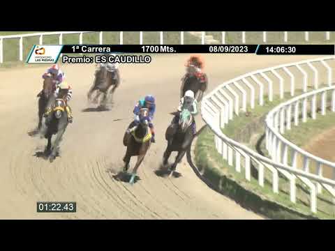 230908 c01 - TEXAS ANDINO - HIPODROMO LAS PIEDRAS