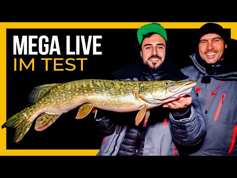We test the MEGA LIVE from Humminbird!