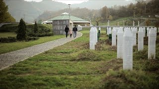 Snake Gives Birth To A Snake - TRAILER