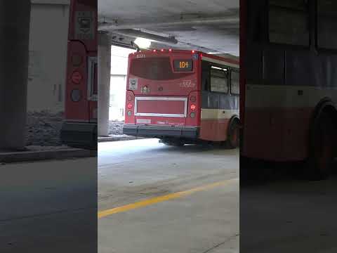 TTC ORION EPA10 3G on the 104 #ttc #buses #shorts #trending