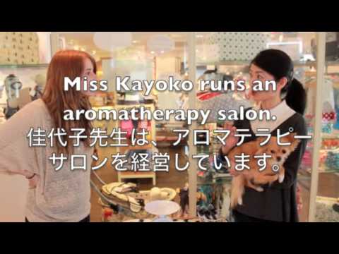 NIPPON珍道中 Boxes and Dog Massages 箱と犬のマッサージ (NIPPON珍道中 Boxes and Dog Massages 箱と犬のマッサージ)