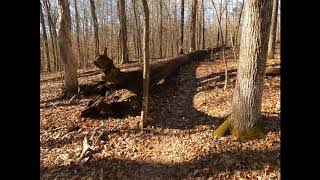This is the new trail starting at the Main Gate and ending at the bottom with the wooden arch and benches.