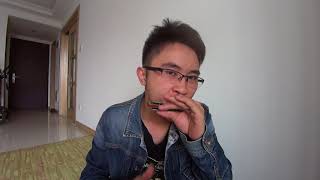 Blues Harmonica Solo : Don't Have To Hunt No More By Little Walter(Acoustic)